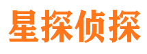 凤泉市侦探调查公司